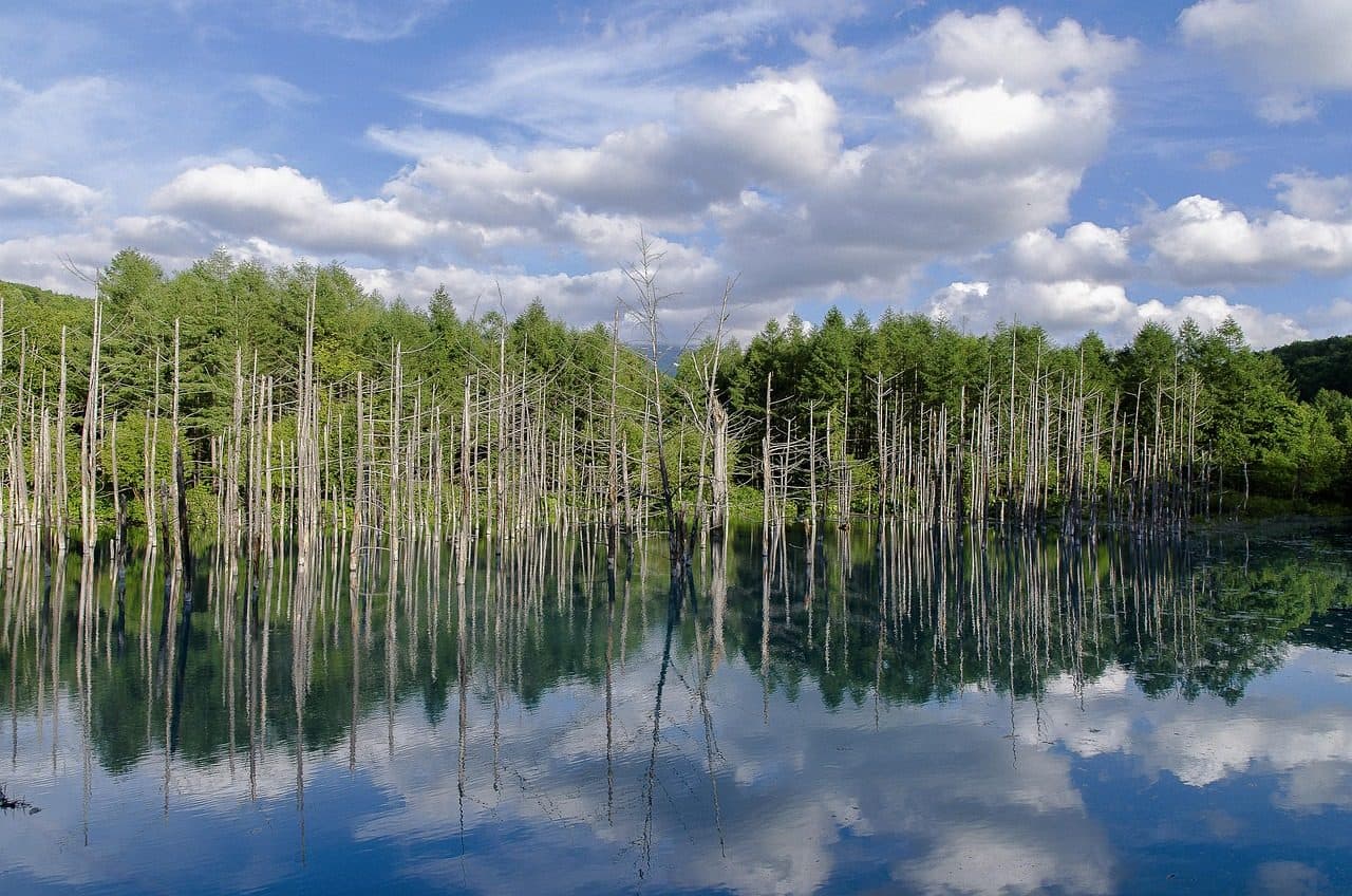 Biei blue pond winter