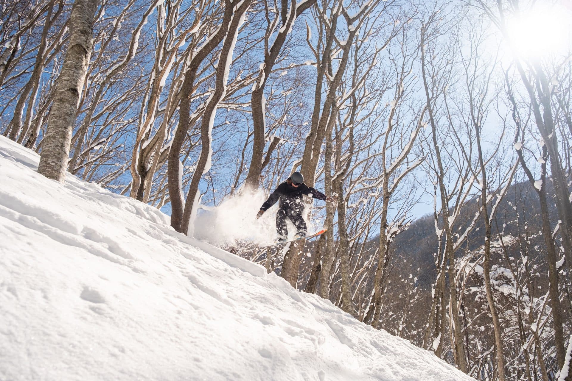 Backcountry snowboarding in japanese winter forest
