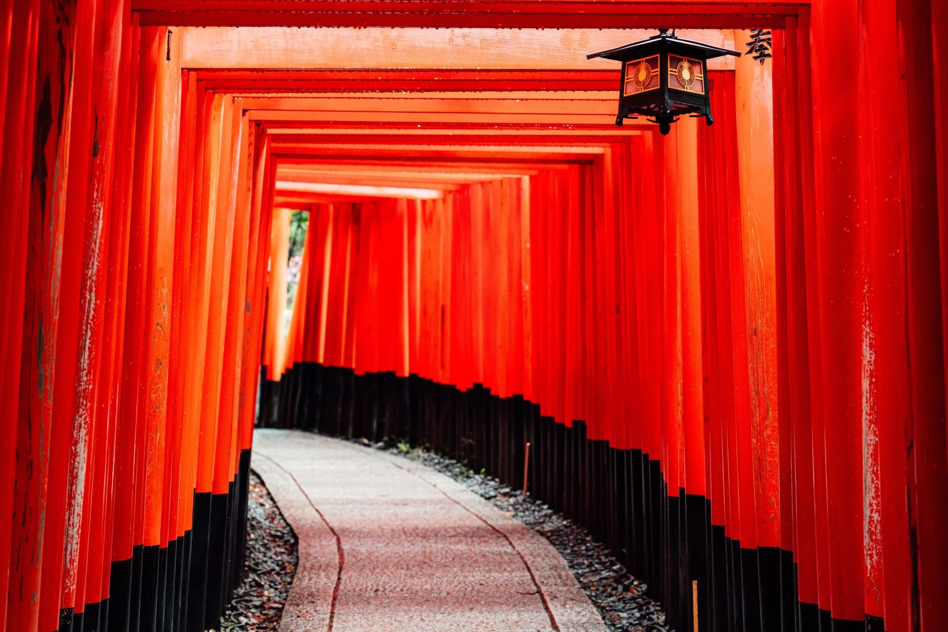 Vibrant torii gates pathway in fushimi inari kyoto
