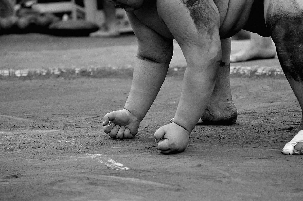 Sumo tournament ryogoku