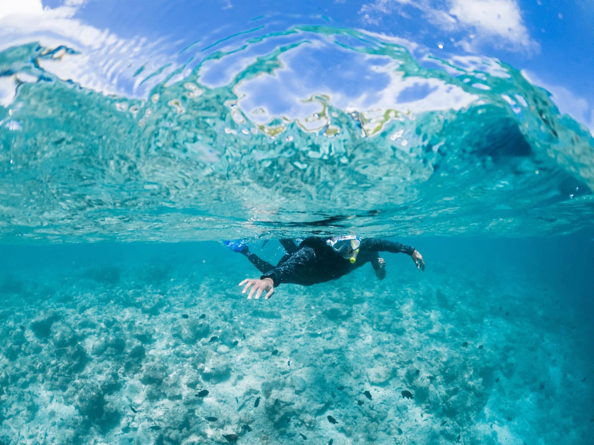 Anonymous snorkeler swimming in azure seawater