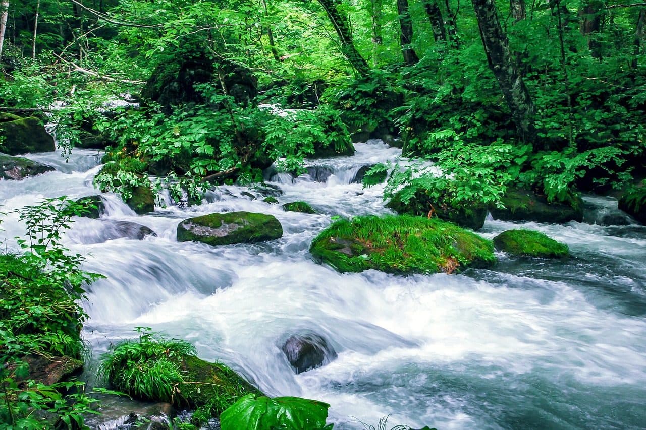 Oirase gorge stream autumn