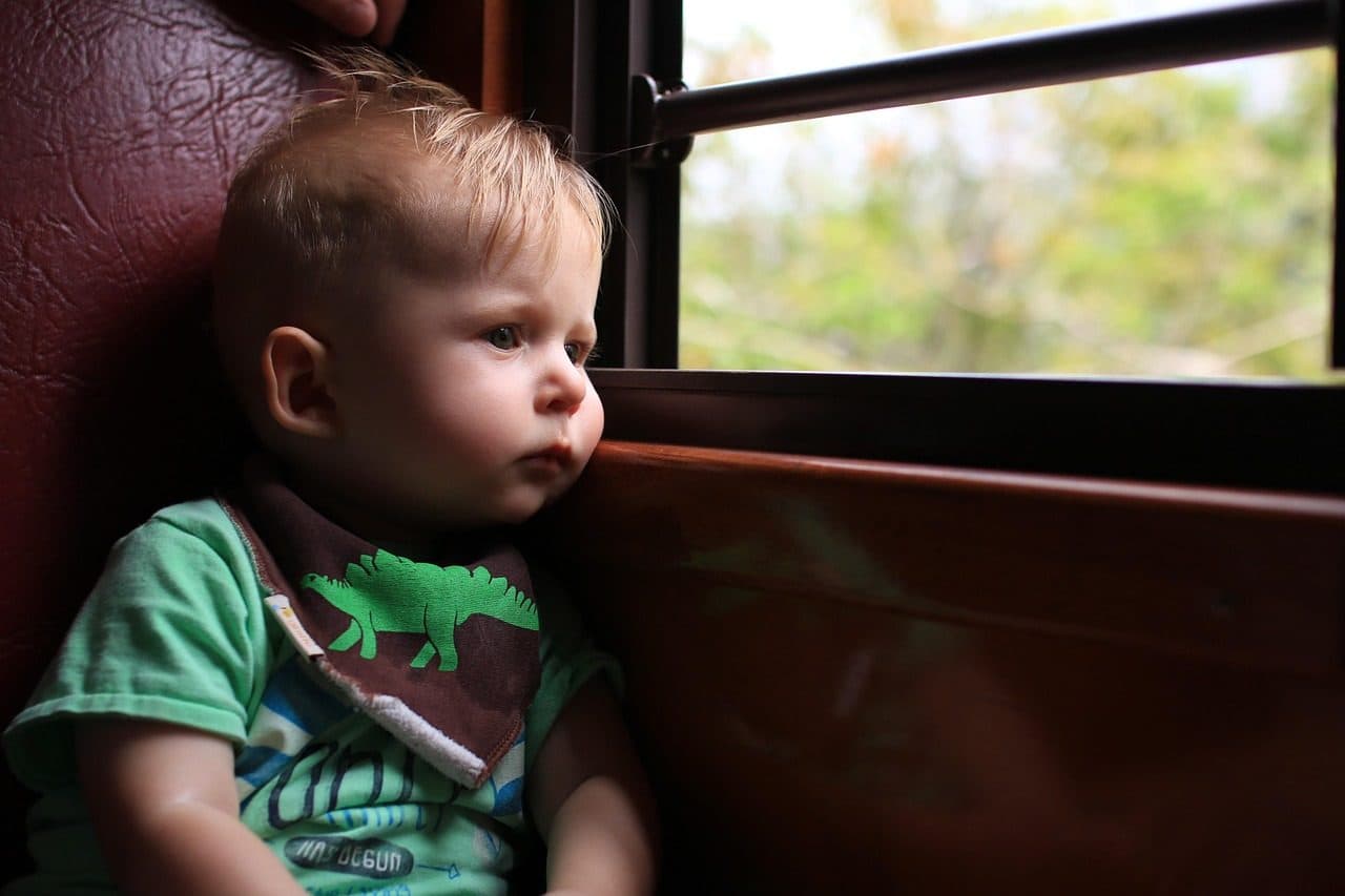 A toddler in a green T-shirt and dinosaur bib looking out of a train window