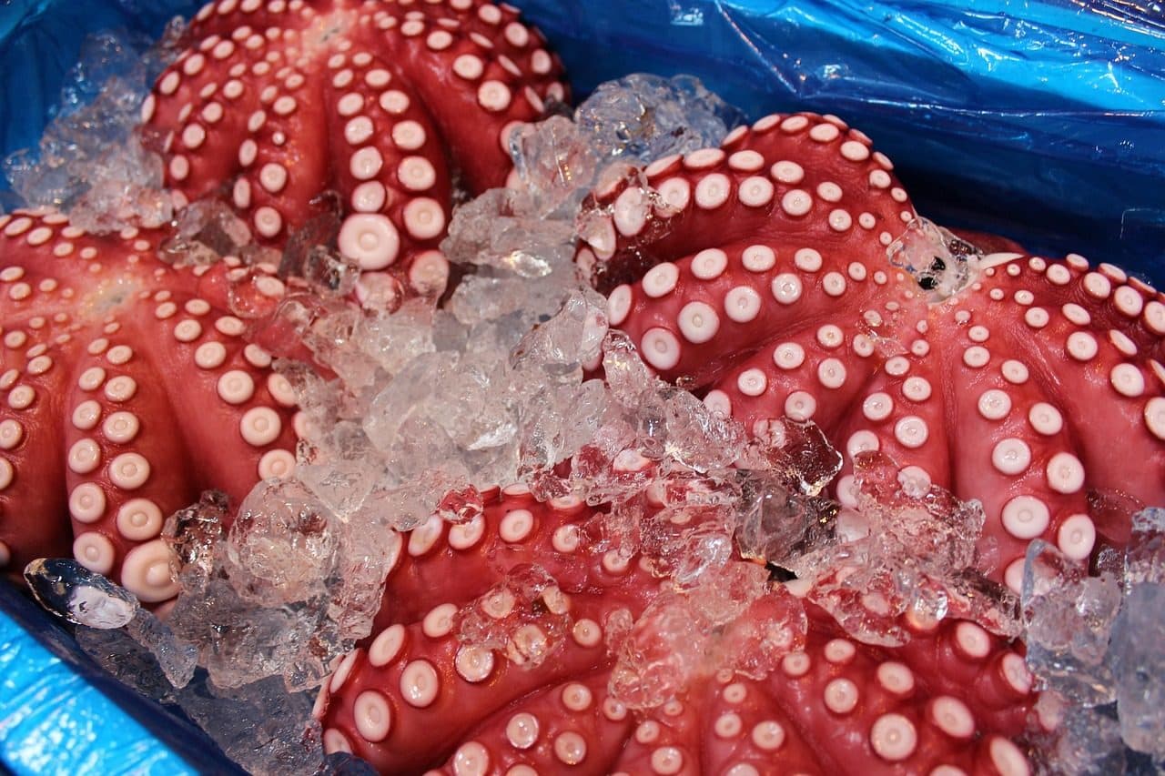 Boiled red octopus packed on crushed ice in a blue-lined crate at a Tokyo fish market stall